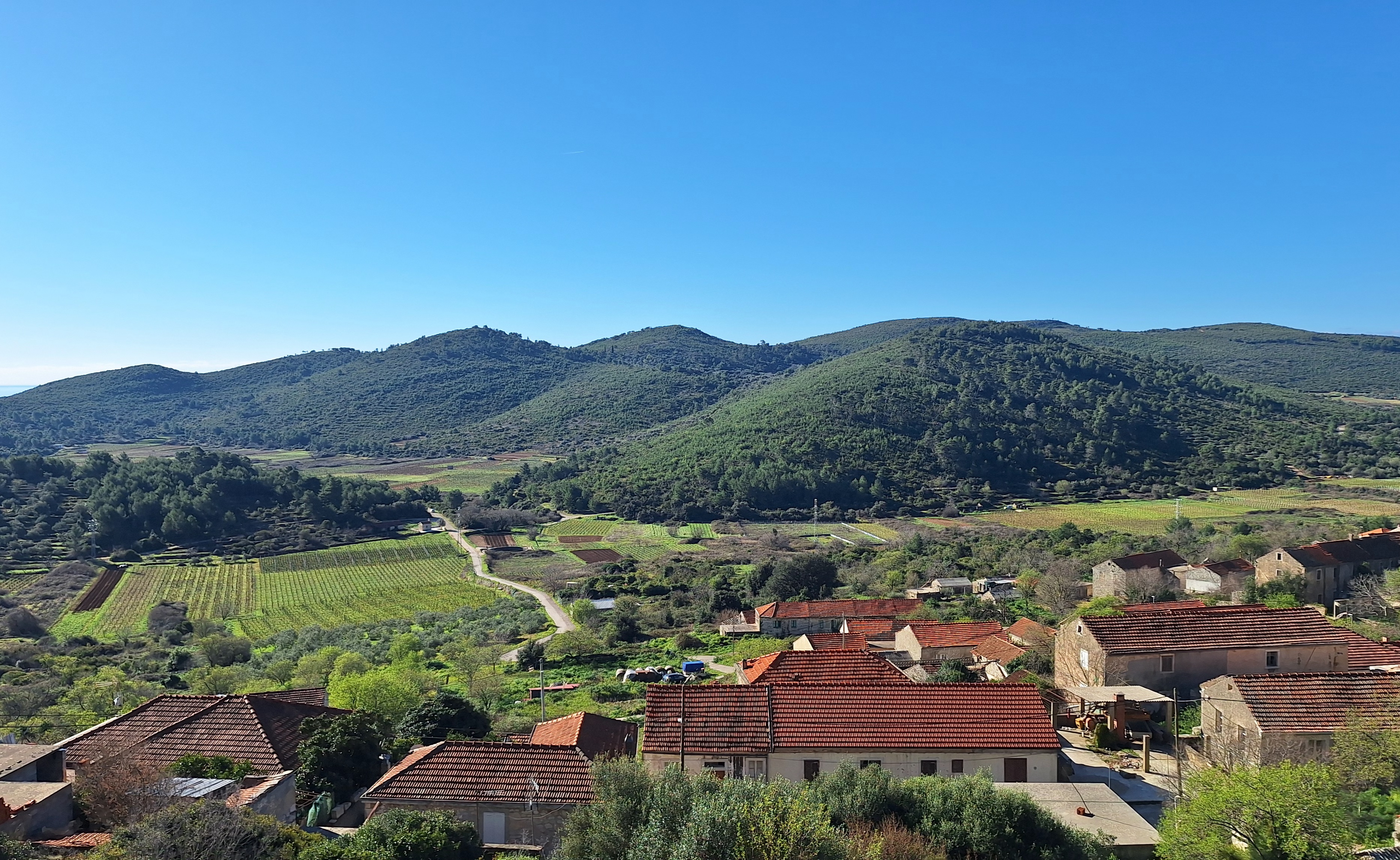 Wiew from our winery 